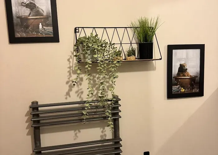 Urban Escape - Free Parking